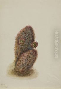 Green Strawberry Cactus (Echinocereus viridiflorus)