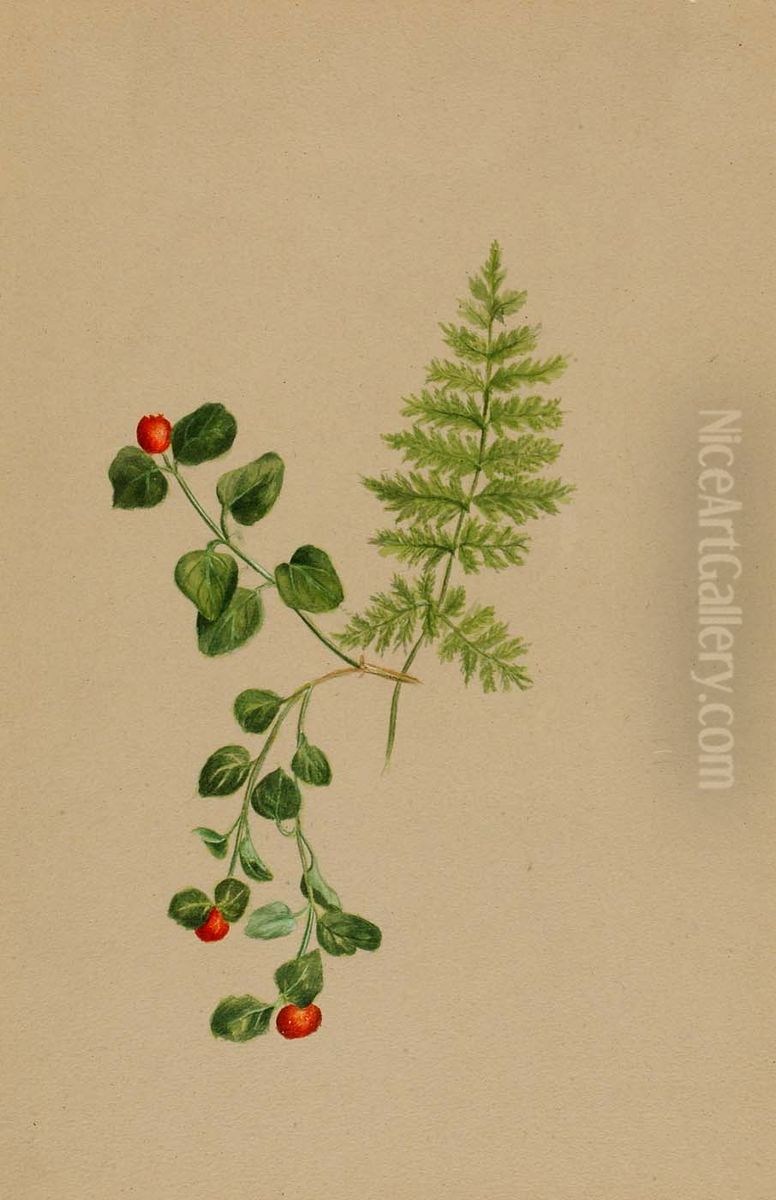 Partridgeberry (Mitchella repens) Oil Painting by Mary Vaux Walcott