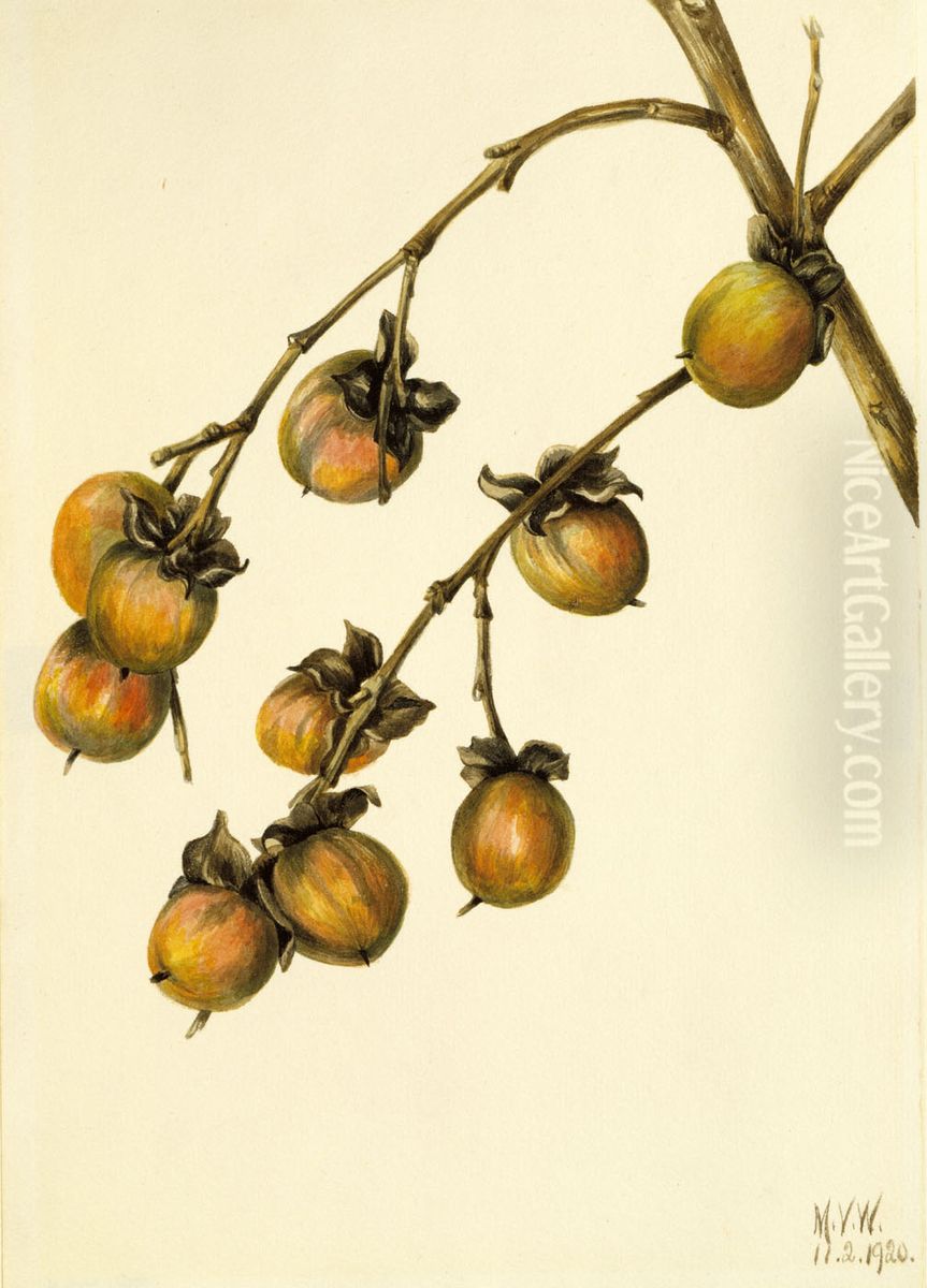 Persimmon (Diospyros virginiana) Oil Painting by Mary Vaux Walcott