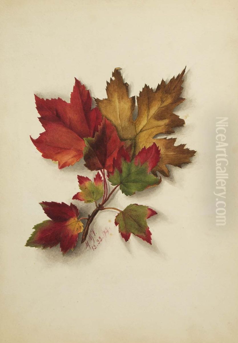 Untitled (Autumn Leaves) Oil Painting by Mary Vaux Walcott