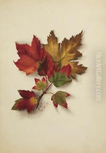 Untitled (Autumn Leaves)