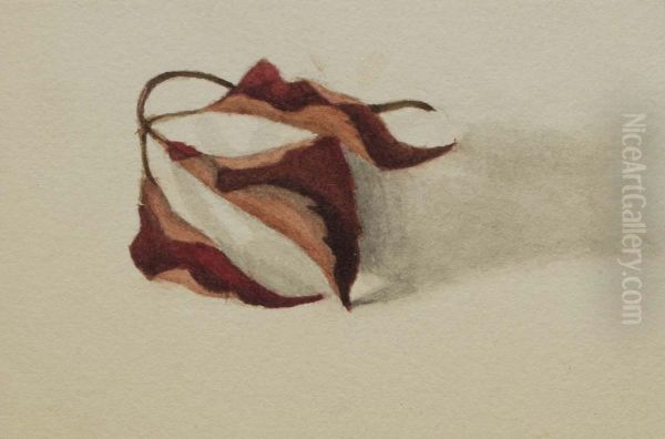 Untitled (Curled Autumn Leaves) Oil Painting by Mary Vaux Walcott