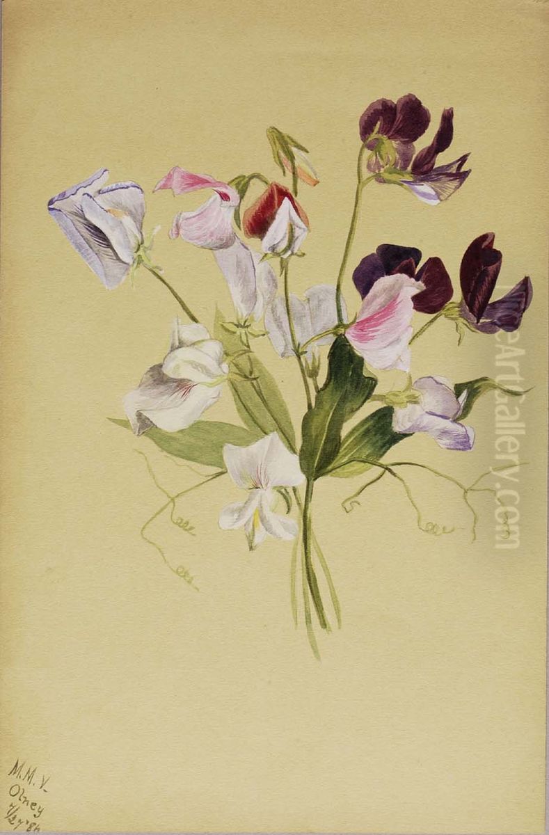 (Untitled--Flower Study) Oil Painting by Mary Vaux Walcott