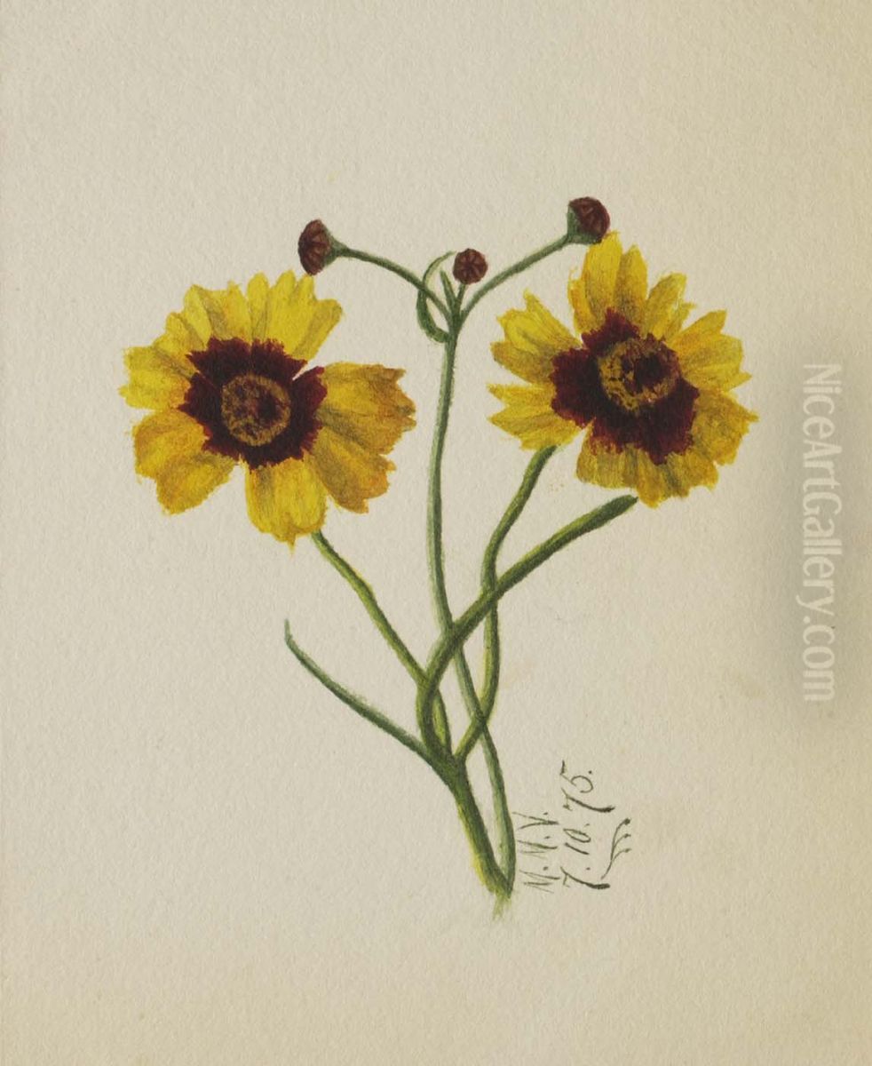 (Untitled) Oil Painting by Mary Vaux Walcott