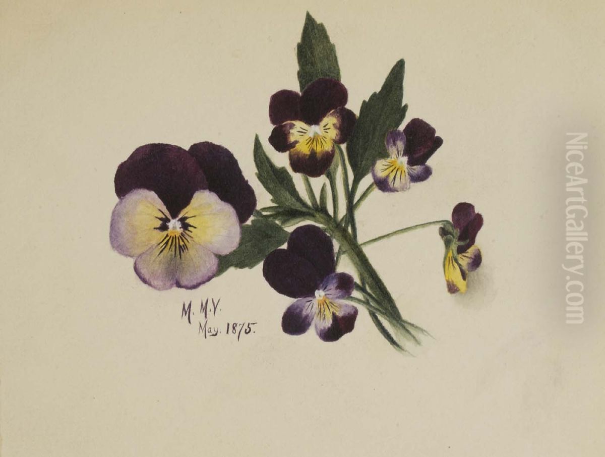 Untitled (Pansies) Oil Painting by Mary Vaux Walcott