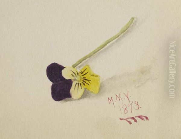 Untitled (Pansy) Oil Painting by Mary Vaux Walcott