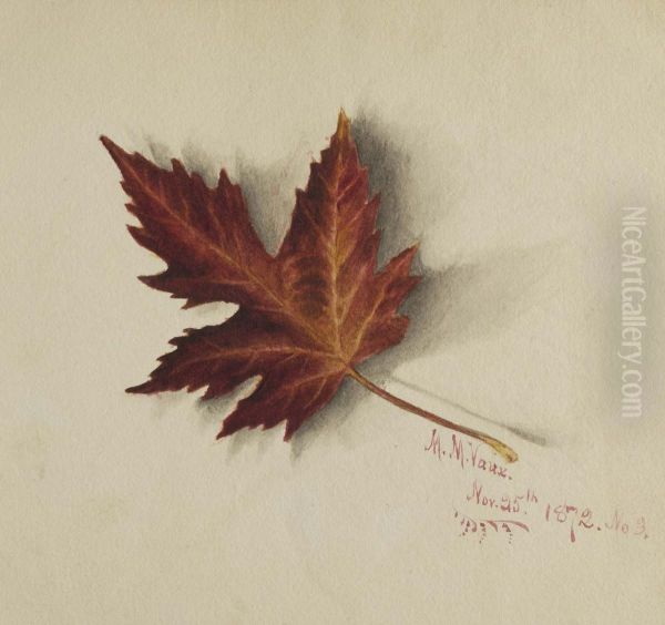 Untitled (Autumn Leaf) Oil Painting by Mary Vaux Walcott