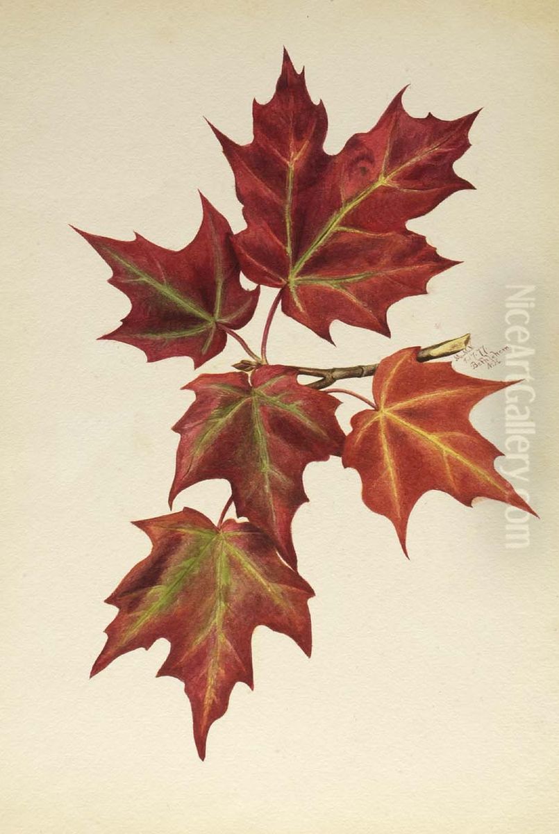 Untitled (Autumn Leaves) Oil Painting by Mary Vaux Walcott