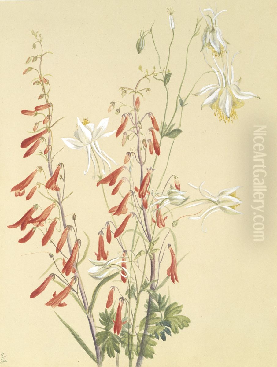 Untitled--Flower Study Oil Painting by Mary Vaux Walcott