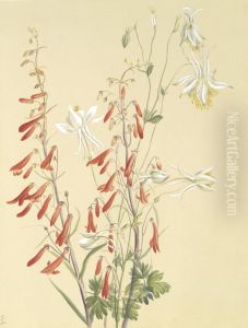 Untitled--Flower Study