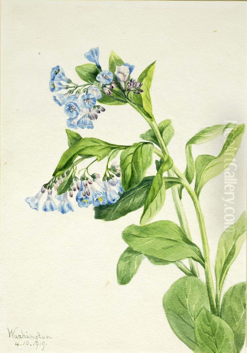 Virginia Bluebells (Mertensia virginica) Oil Painting by Mary Vaux Walcott