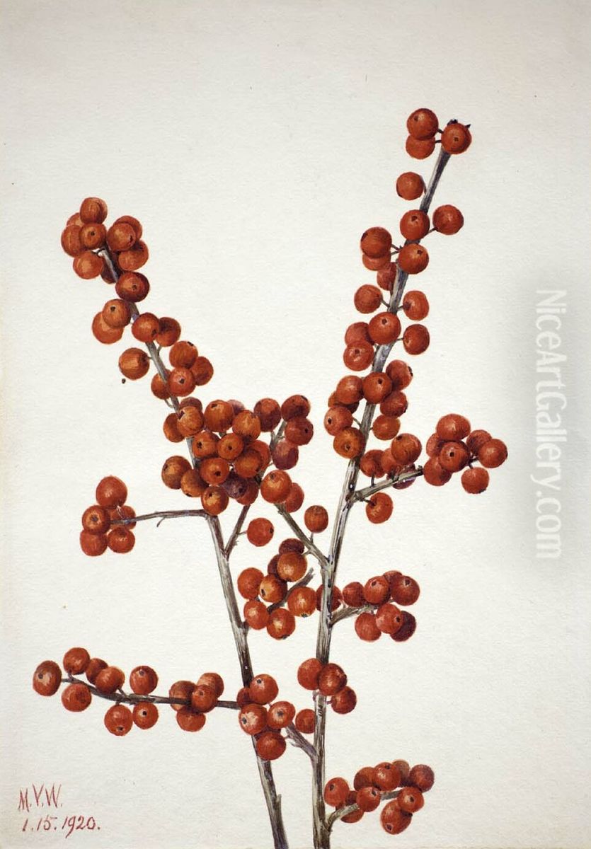 Winterberry (Ilex verticillata) Oil Painting by Mary Vaux Walcott