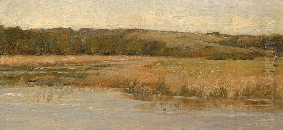 Hill and Marshland Oil Painting by Max Weyl