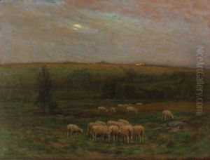 Evening after a Shower