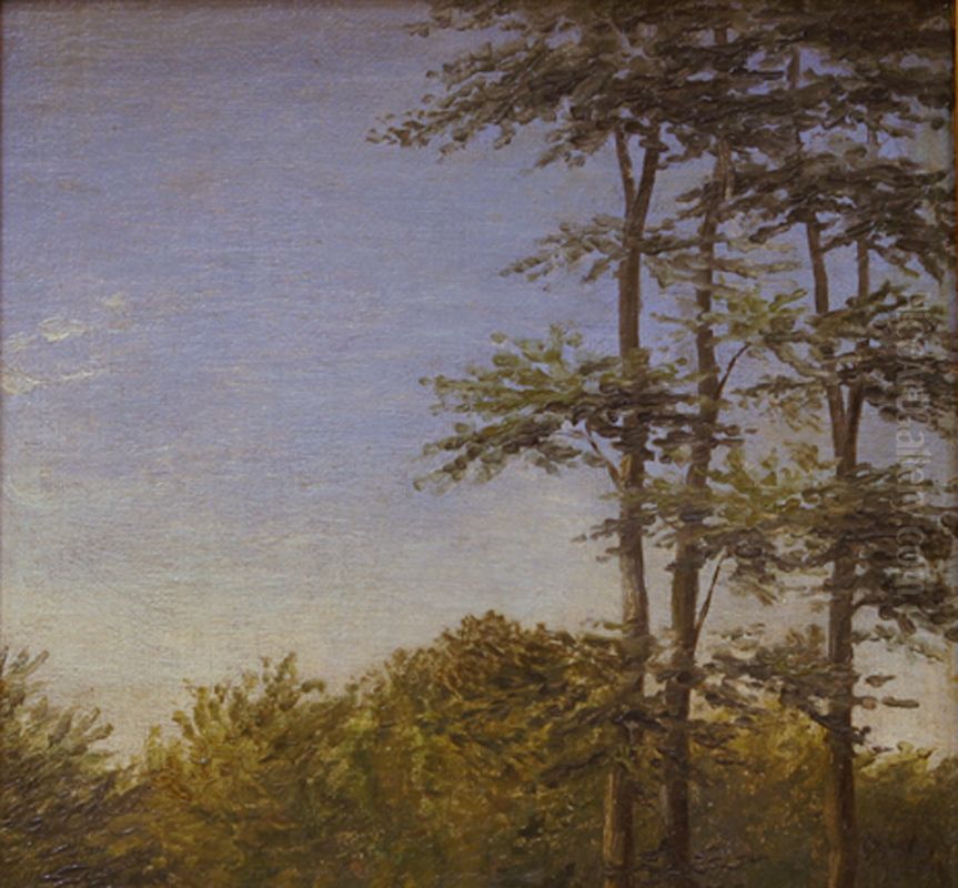 Study of Undergrowth and Tall Trees, Funen Oil Painting by Dankvart Dreyer