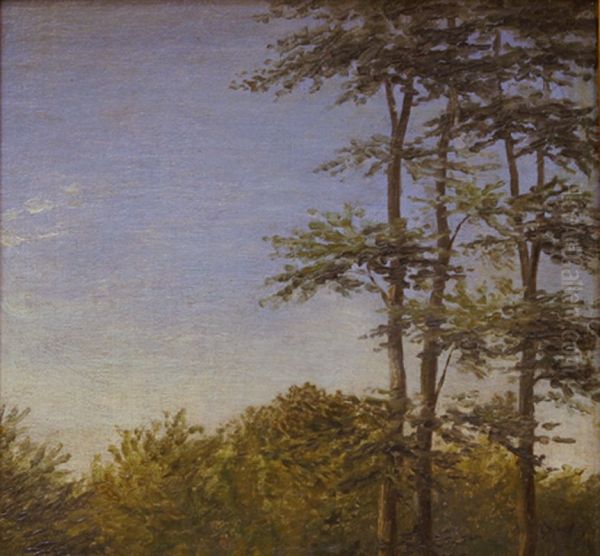 Study of Undergrowth and Tall Trees, Funen Oil Painting by Dankvart Dreyer