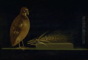 A Quail Eating an ear of Corn