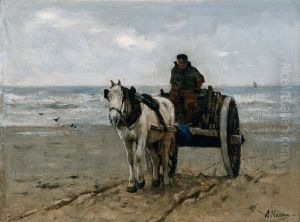 Seaweed Gatherer