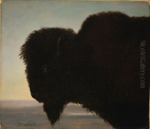 Buffalo Head