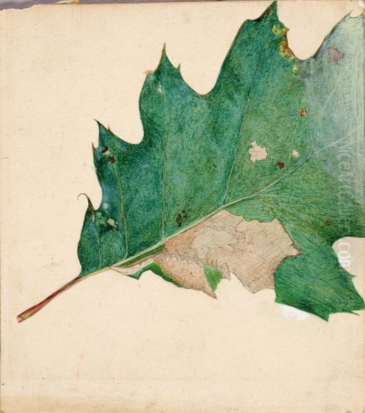 Oligocentra Lignicolor, Walker, study for book Concealing Coloration in the Animal Kingdom Oil Painting by Abbott Handerson Thayer