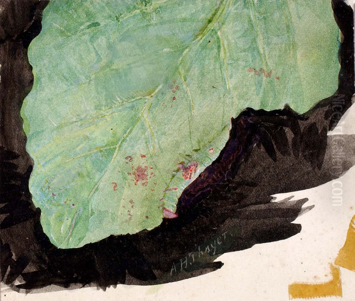 Heterocampa Biundata, Walker, study for book Concealing Coloration in the Animal Kingdom Oil Painting by Abbott Handerson Thayer