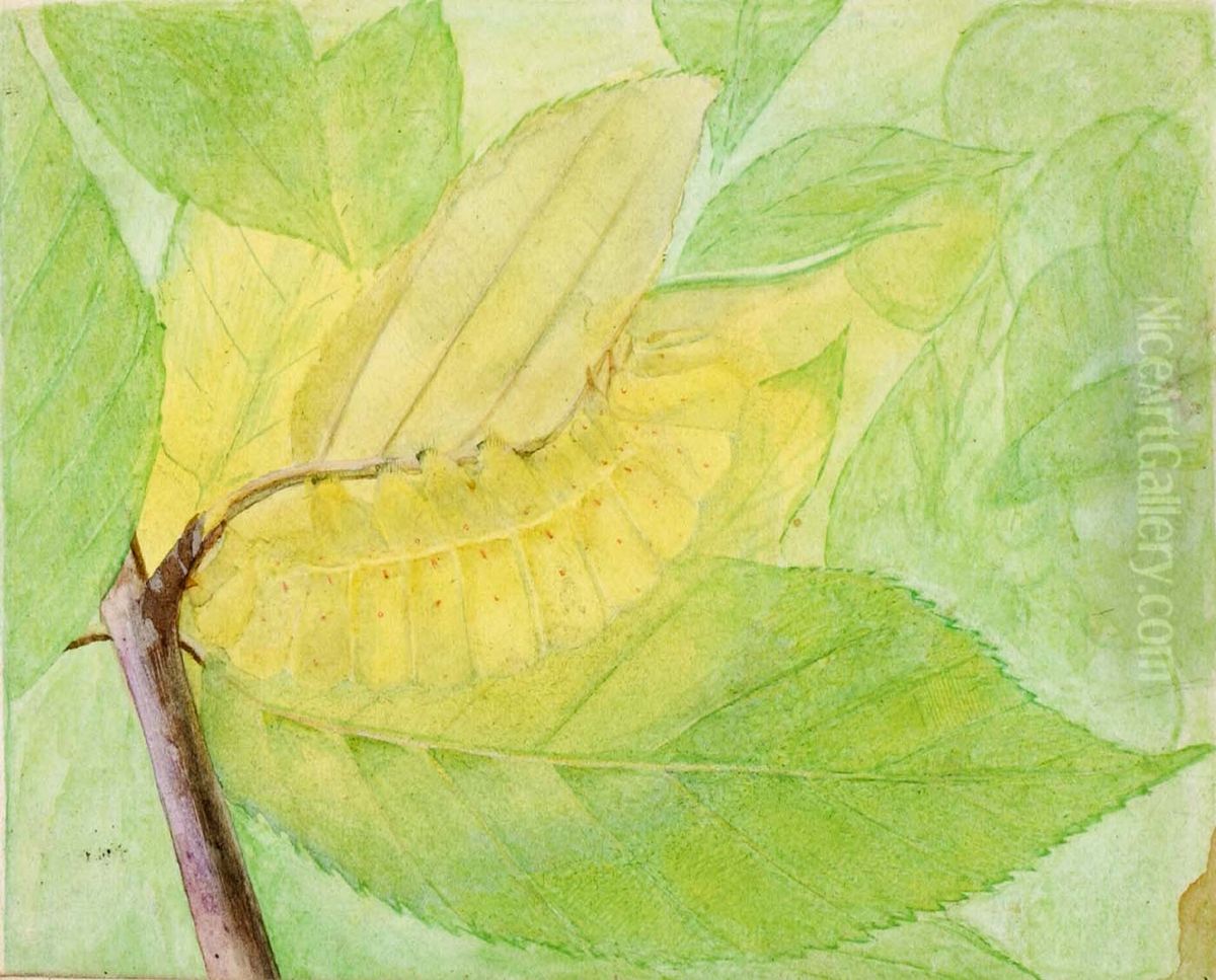 Lunar Caterpillar, study for book Concealing Coloration in the Animal Kingdom Oil Painting by Abbott Handerson Thayer