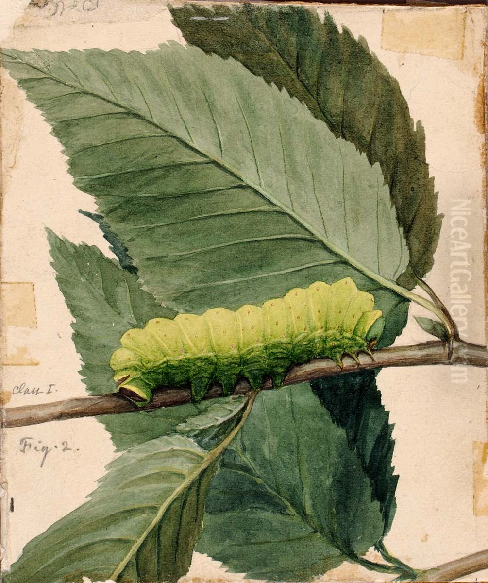Lunar Caterpillar, study for book Concealing Coloration in the Animal Kingdom Oil Painting by Abbott Handerson Thayer