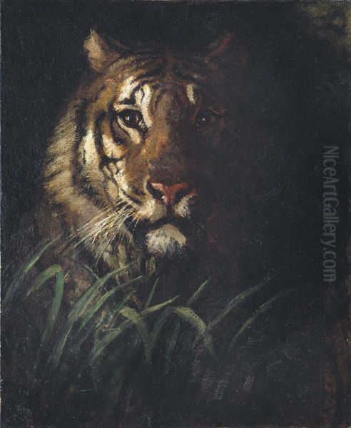 Tiger's Head Oil Painting by Abbott Handerson Thayer