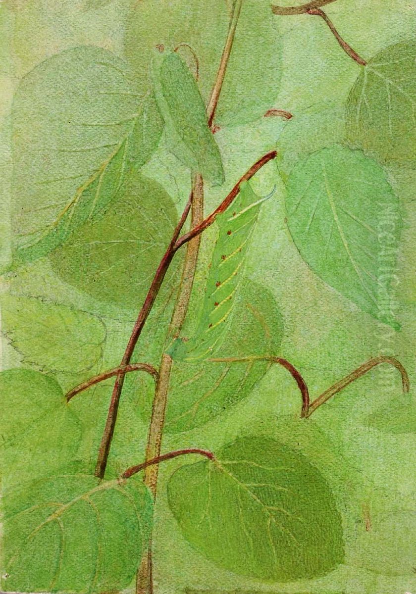 Sphinx Caterpillar, study for book Concealing Coloration in the Animal Kingdom Oil Painting by Abbott Handerson Thayer