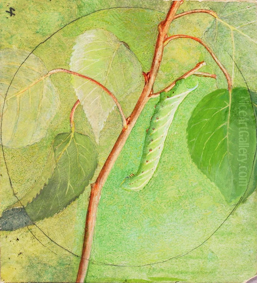 Sphinx Caterpillar, study for book Concealing Coloration in the Animal Kingdom Oil Painting by Abbott Handerson Thayer Sphinx Caterpillar, study for book Concealing Coloration in the Animal Kingdom Oil Painting by Abbott Handerson Thayer