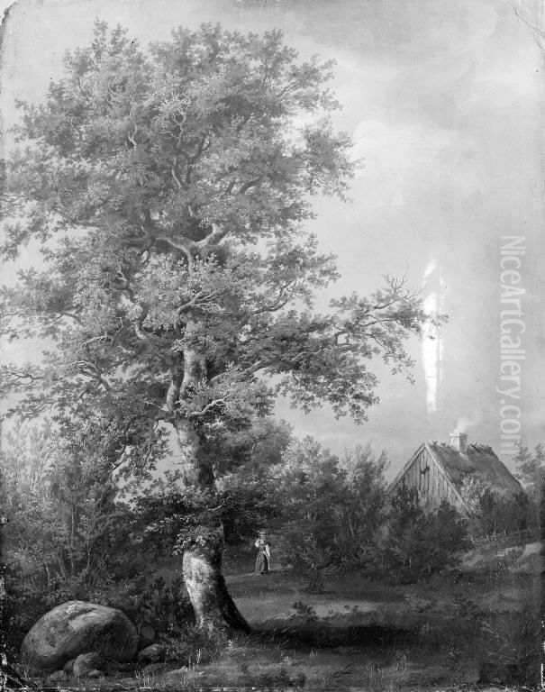 Study of a Beech at Engelholm in Zealand Oil Painting by Johan Wilhelm Ludwig Dahl