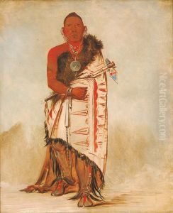Ki-ho-go-waw-shu-shee, Brave Chief, Chief of the Tribe