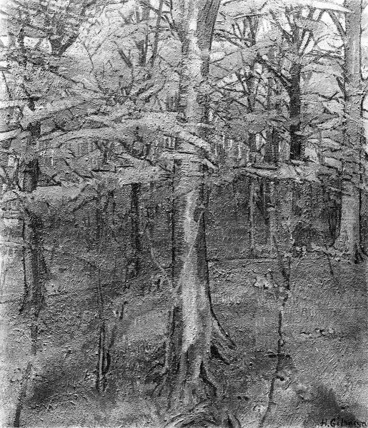 Beech Wood Oil Painting by Harold Gilman