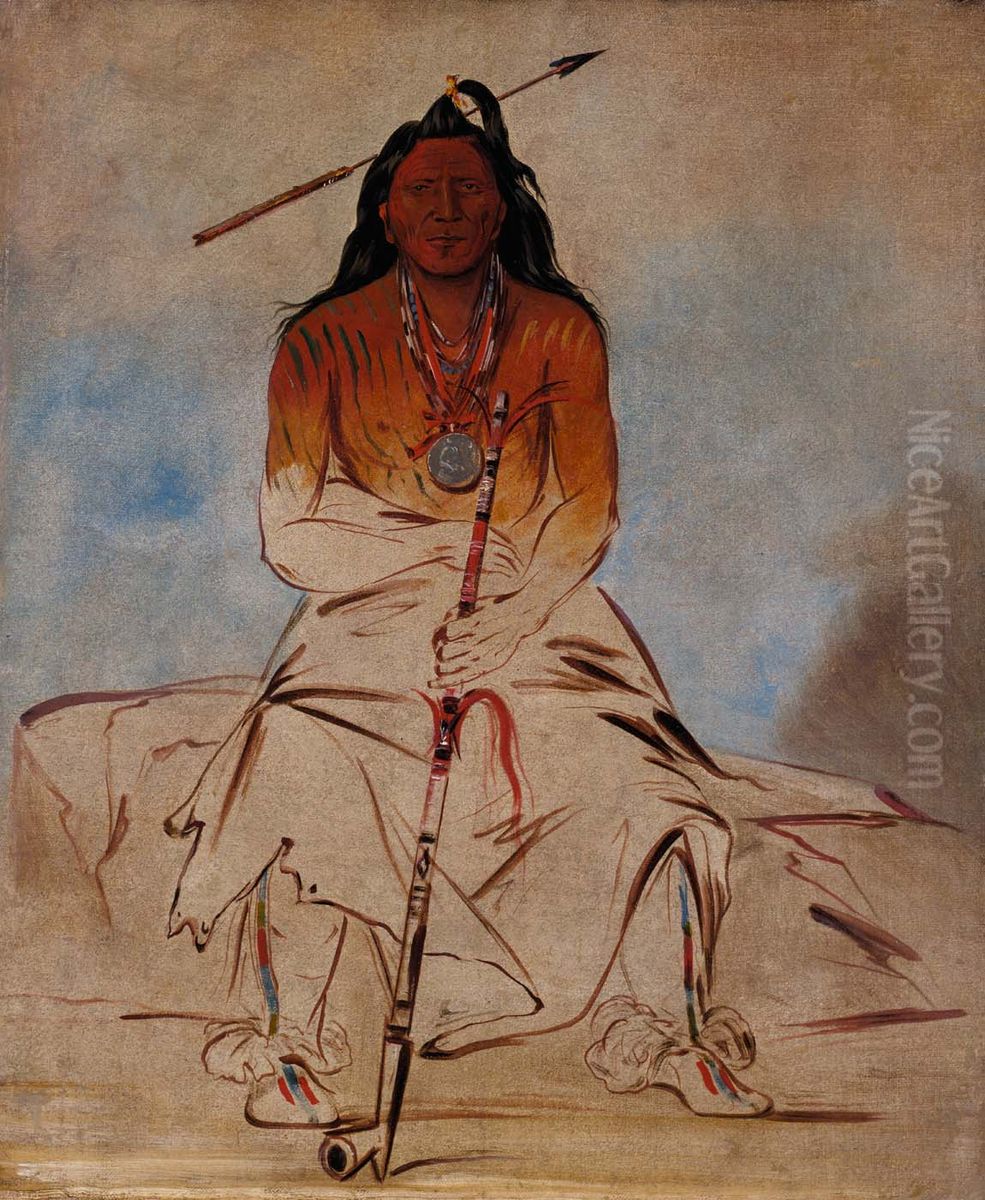 Ah-shaw-wah-rooks-te, Medicine Horse, a Grand Pawnee Brave Oil Painting by George Catlin