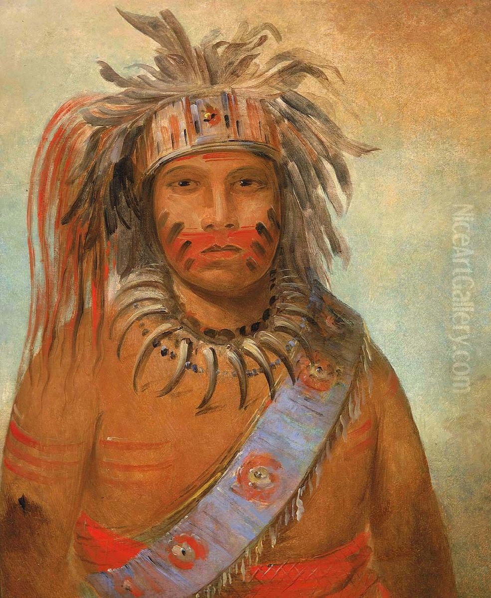 Au-nim-muck-kwa-um, Tempest Bird Oil Painting by George Catlin