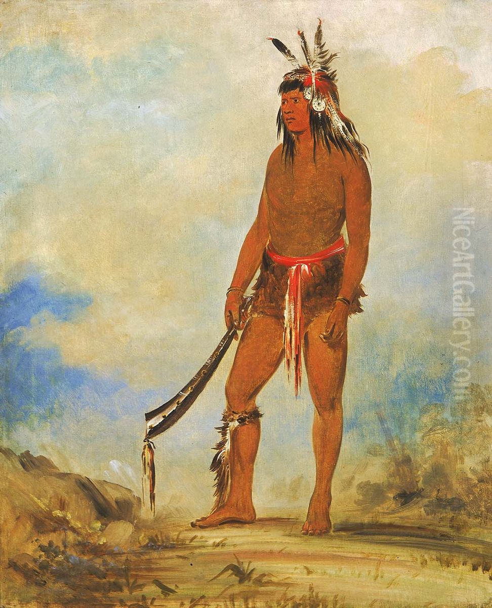 Won-de-tow-a, The Wonder Oil Painting by George Catlin