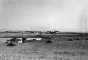 Landskab ved Stavnsholt. Sommeraften