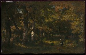 Forest Interior