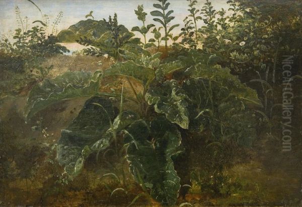 Foreground Study with Dock Leaves Oil Painting by Dankvart Dreyer
