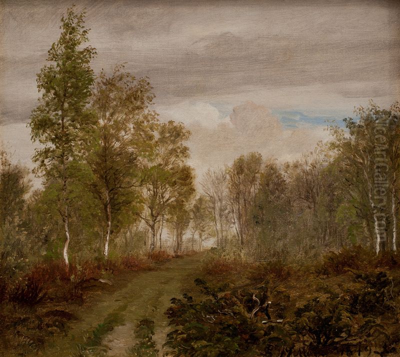 Birketraeer pa Laeso efter regn Oil Painting by P. C. Skovgaard