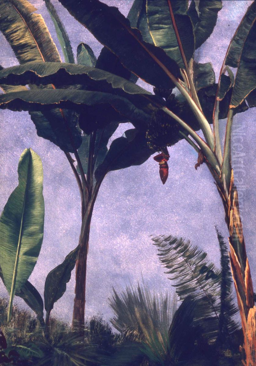 Banana Trees Oil Painting by Albert Bierstadt
