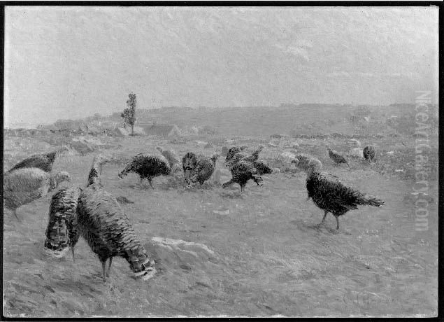Turkey Pasture Oil Painting by Charles Henry Hayden