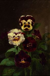 Pansies