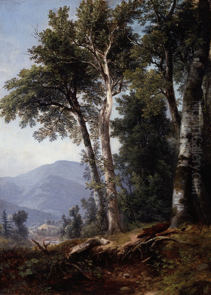 Woodland Landscape Oil Painting by Asher Brown Durand