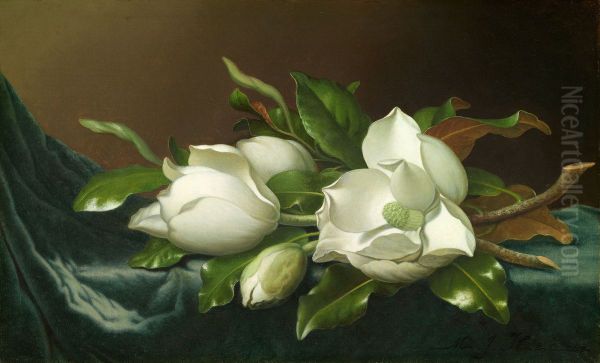 Magnolias on Light Blue Velvet Cloth Oil Painting by Martin Johnson Heade