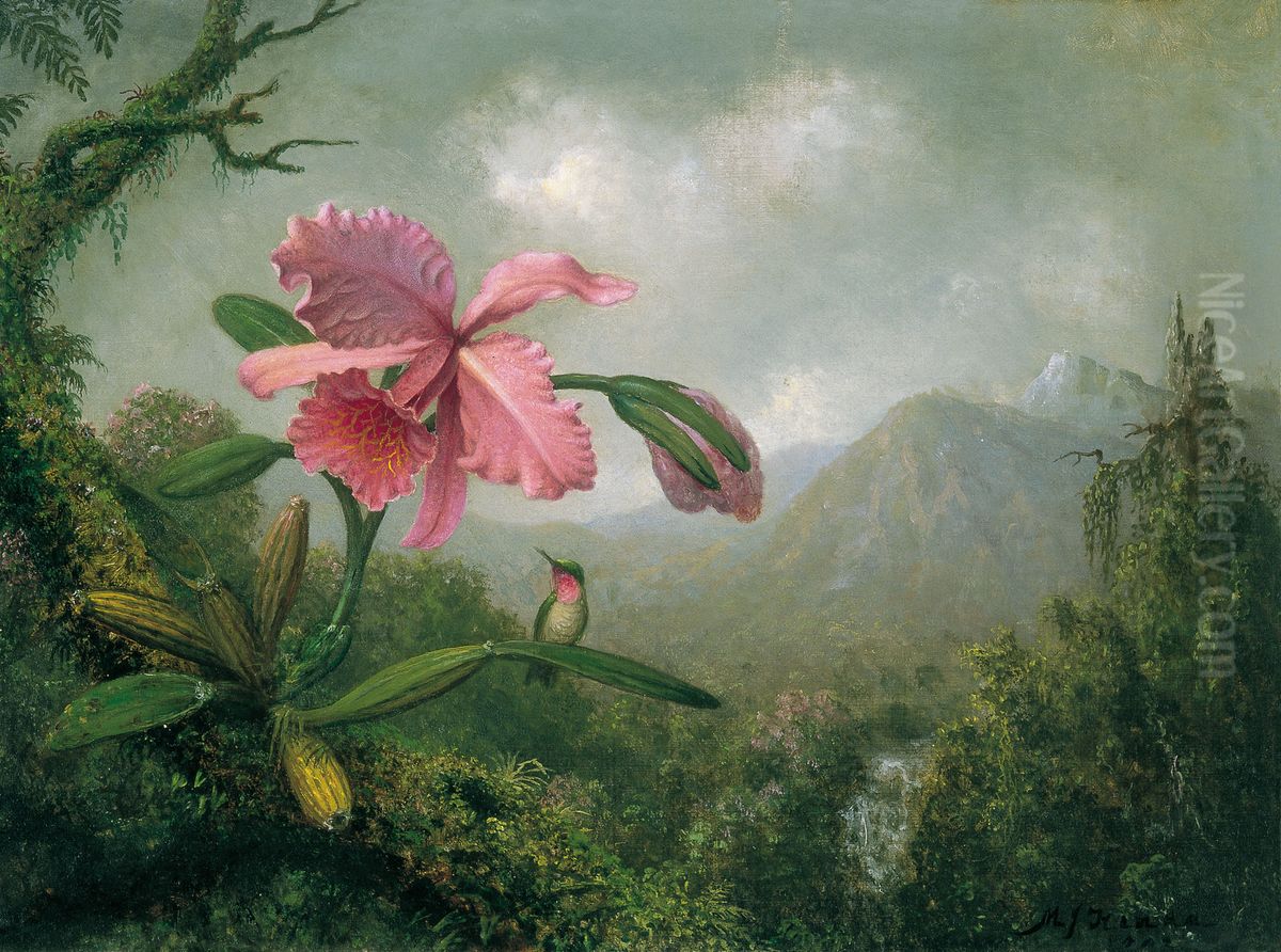 Orquidea y colibri cerca de una cascada de montana Oil Painting by Martin Johnson Heade