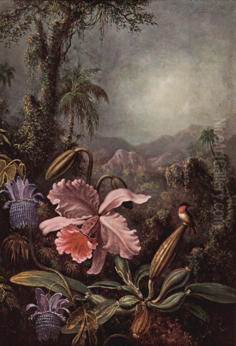 Orchideen, Passionsblumen und Kolibris Oil Painting by Martin Johnson Heade