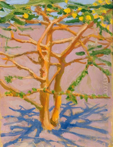 Acacia on the Savannah Oil Painting by Akseli Valdemar Gallen-Kallela