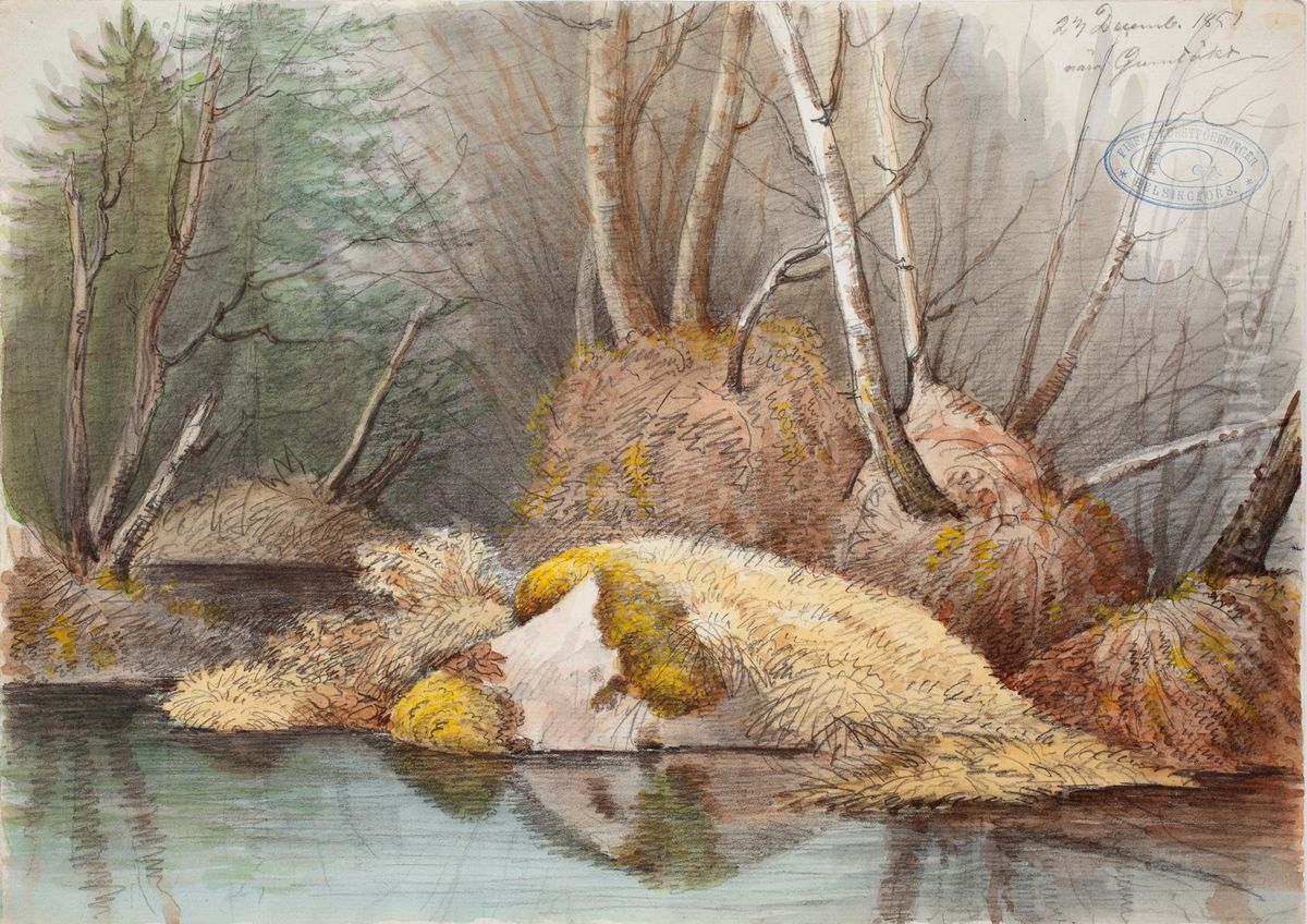Kevainen metsansisus ja vedensaartamat mattaat Oil Painting by Magnus Von Wright