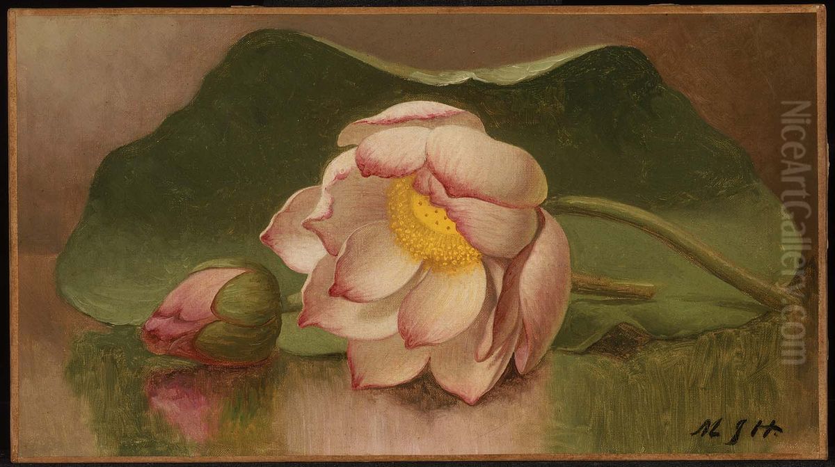 Lotus Blossom Oil Painting by Martin Johnson Heade
